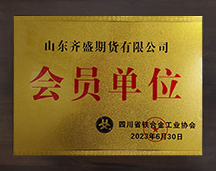 企業(yè)榮譽(yù)10